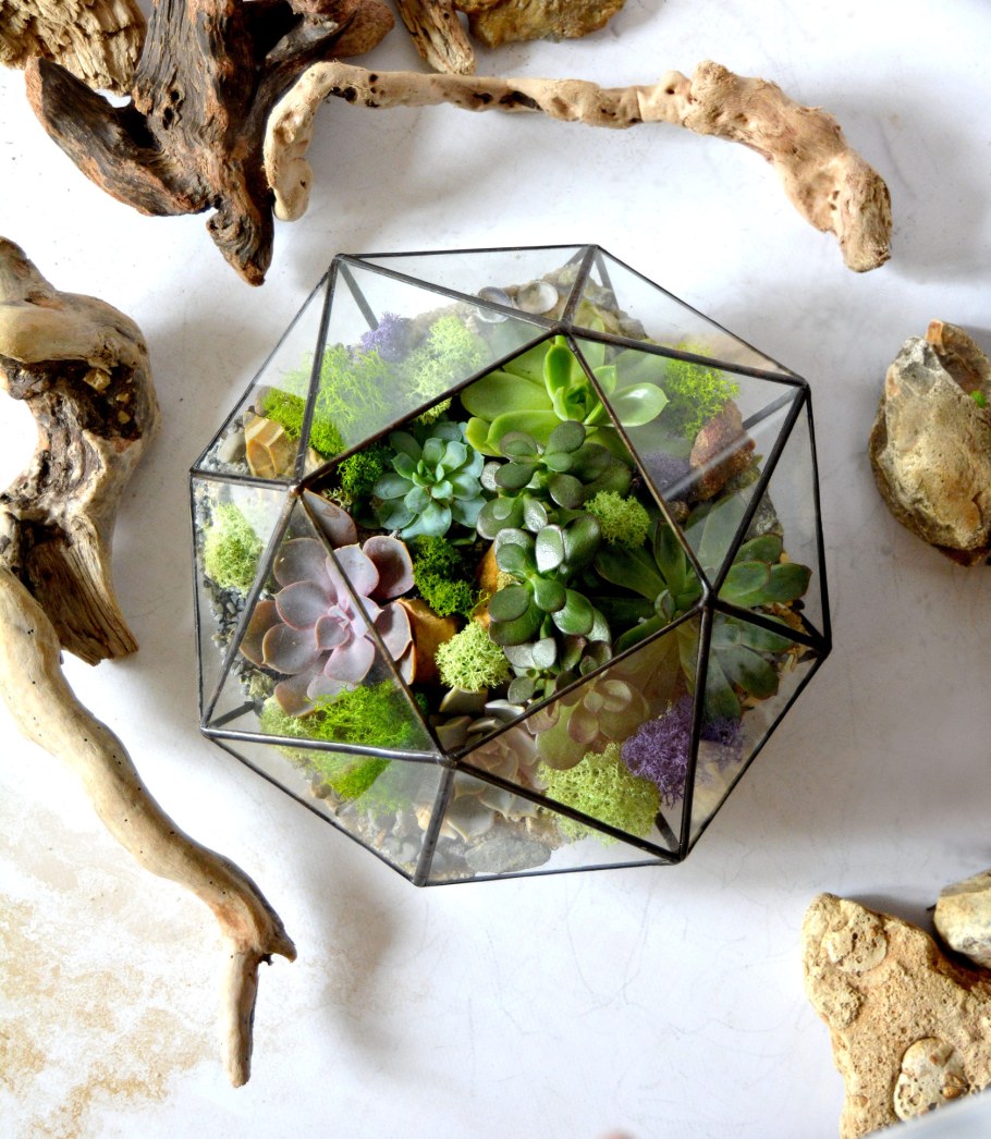 Glass grass флорариум