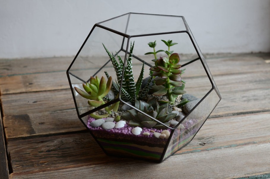 Флорариум с цикламенами