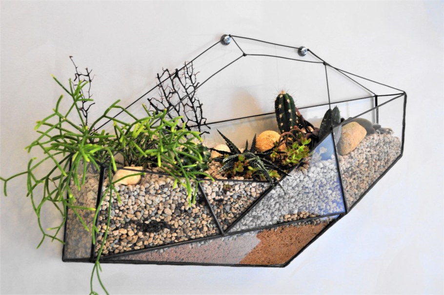 Флорариум Лазурная бухта