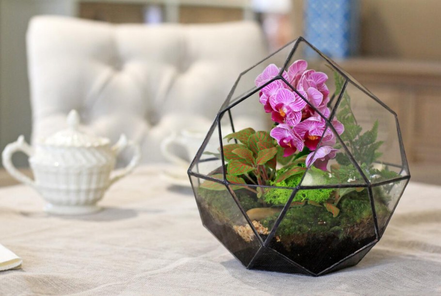 Флорариум с орхидеей