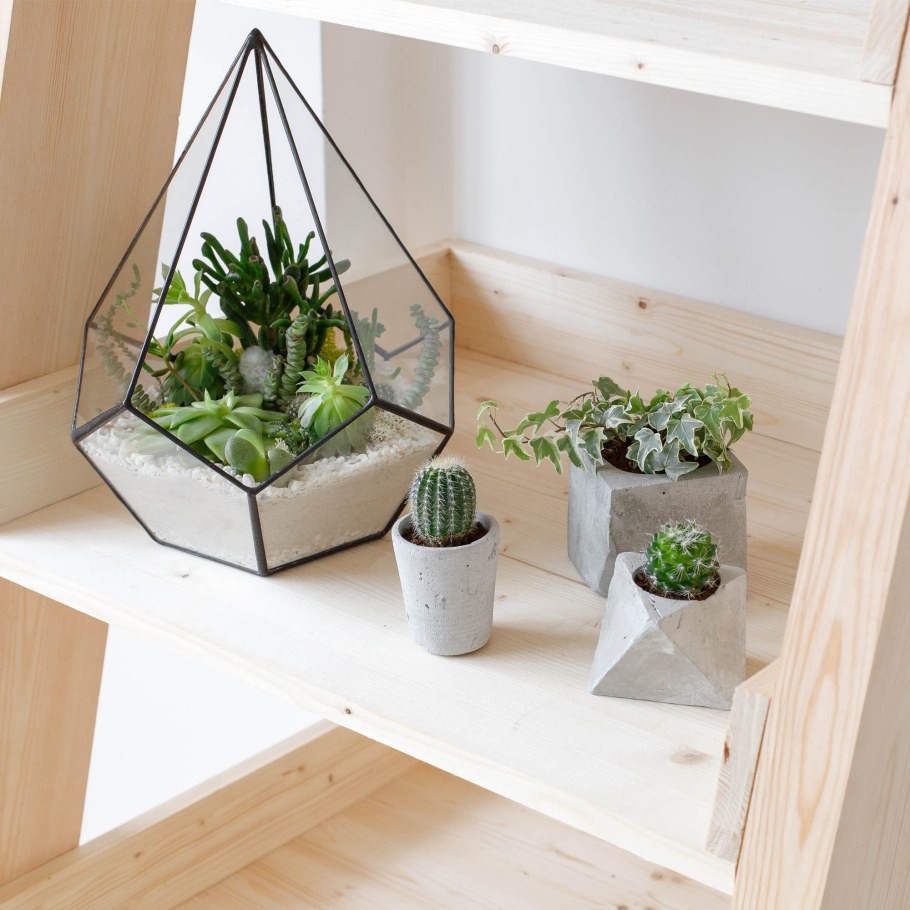 Флорариум "домик"