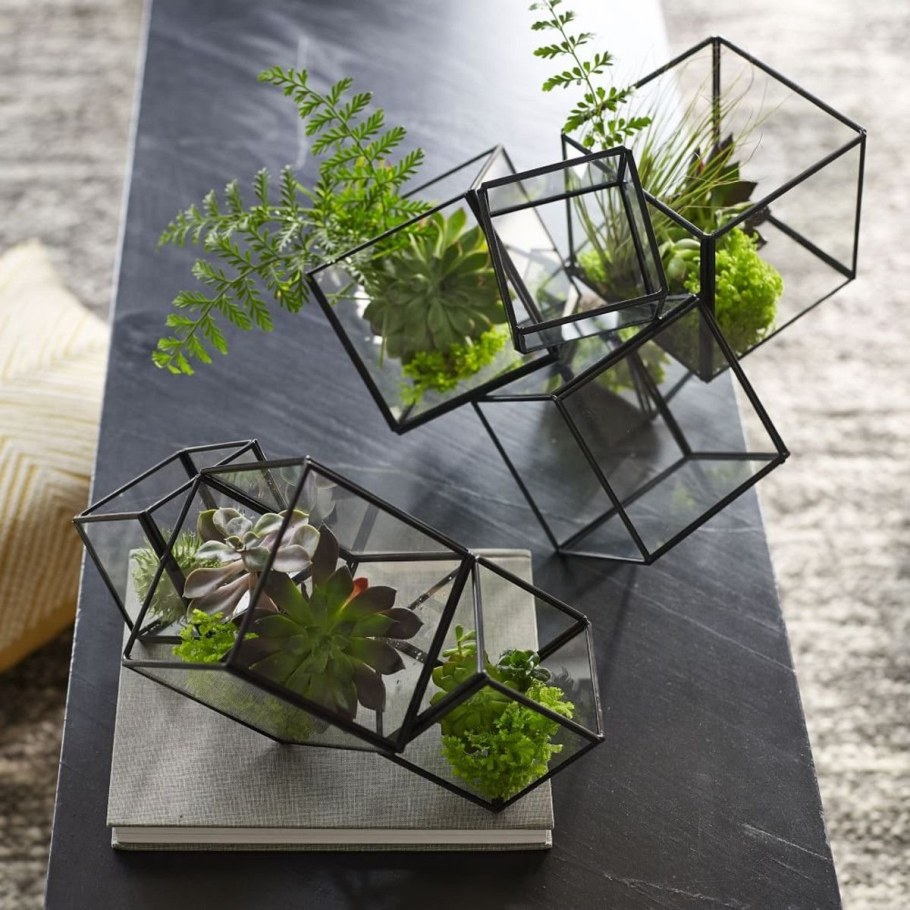 Флорариумы Тиффани