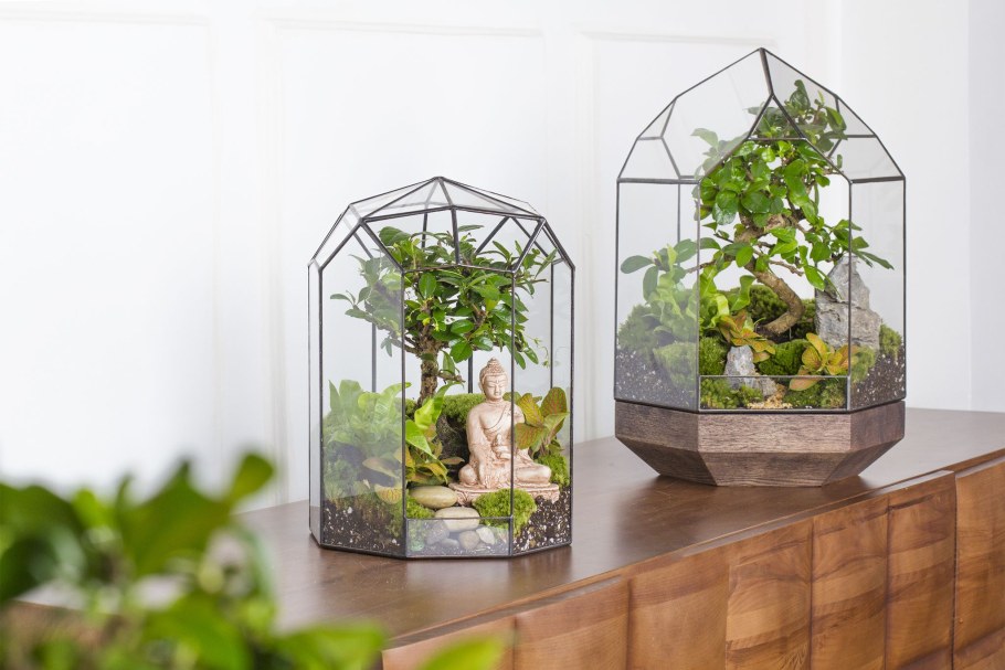 Флорариум горный ландшафт