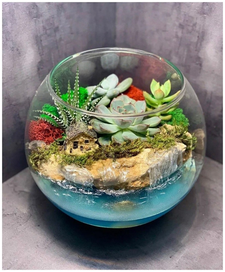 Флорариумы растения