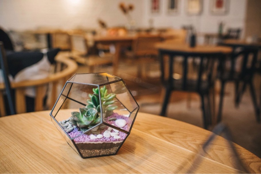 Флорариум Кристалл