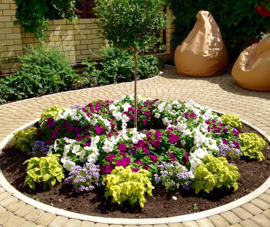 Круглая клумба с петуниями