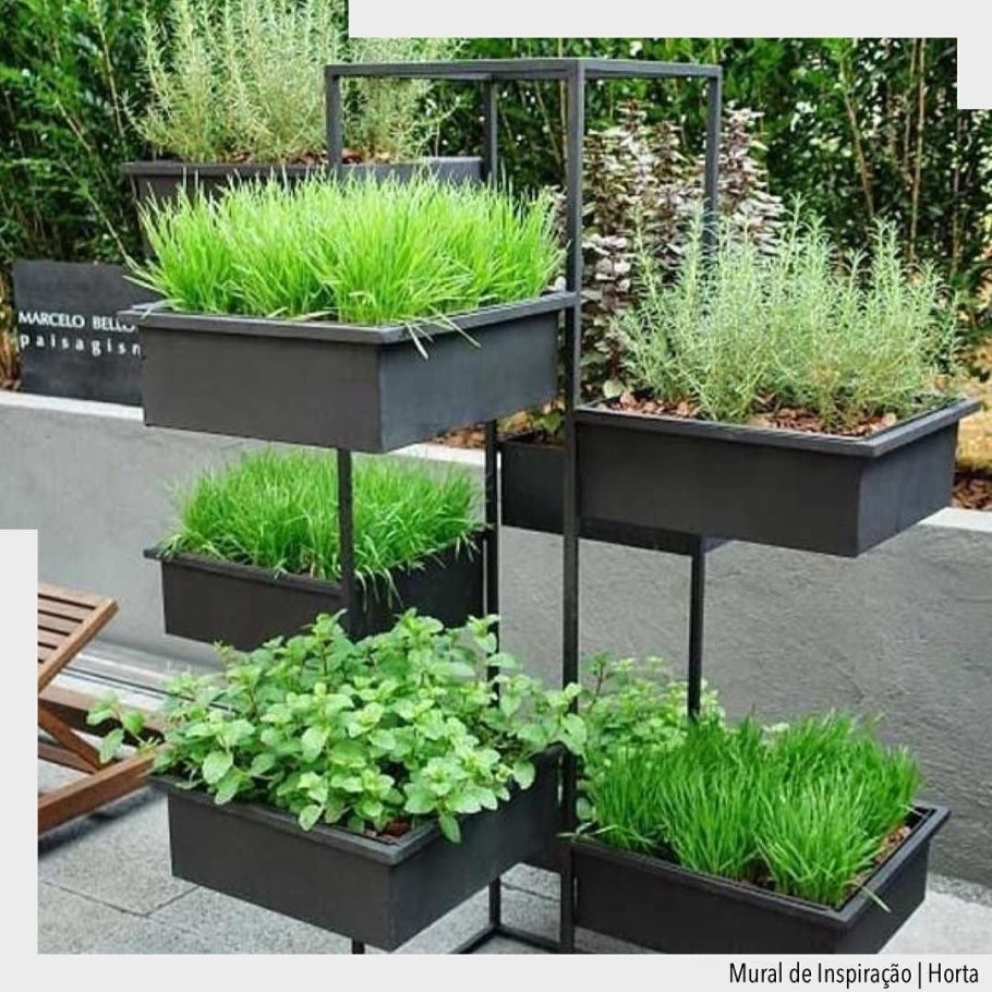 Огородик пряных трав