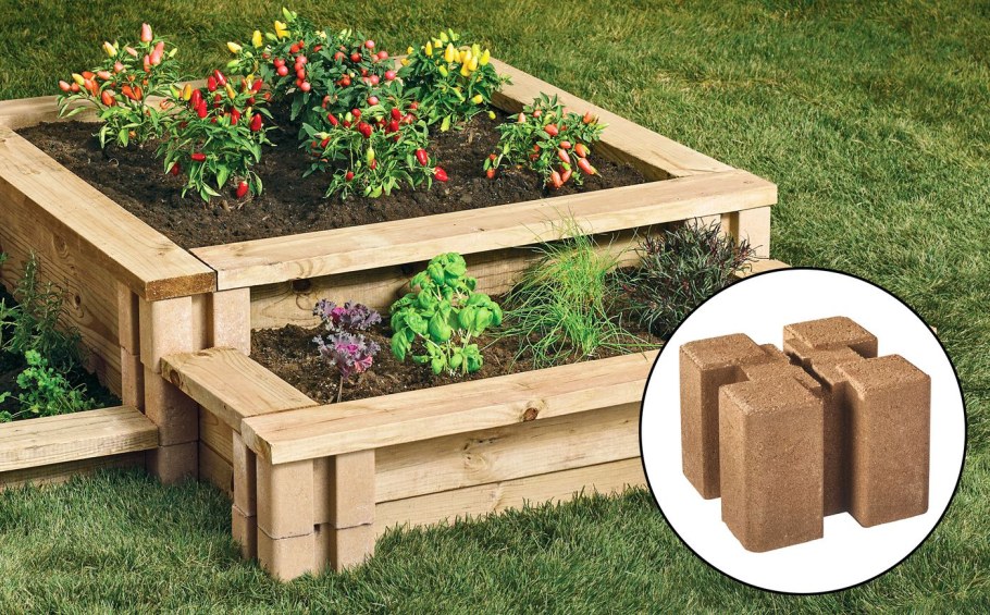 Raised Garden Bed Design pictures Australia