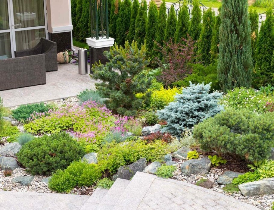 Туя Глаука Глобоза