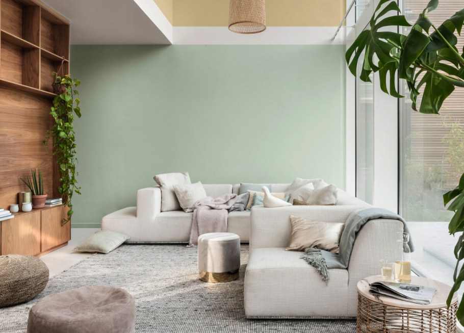 Растения в интерьере