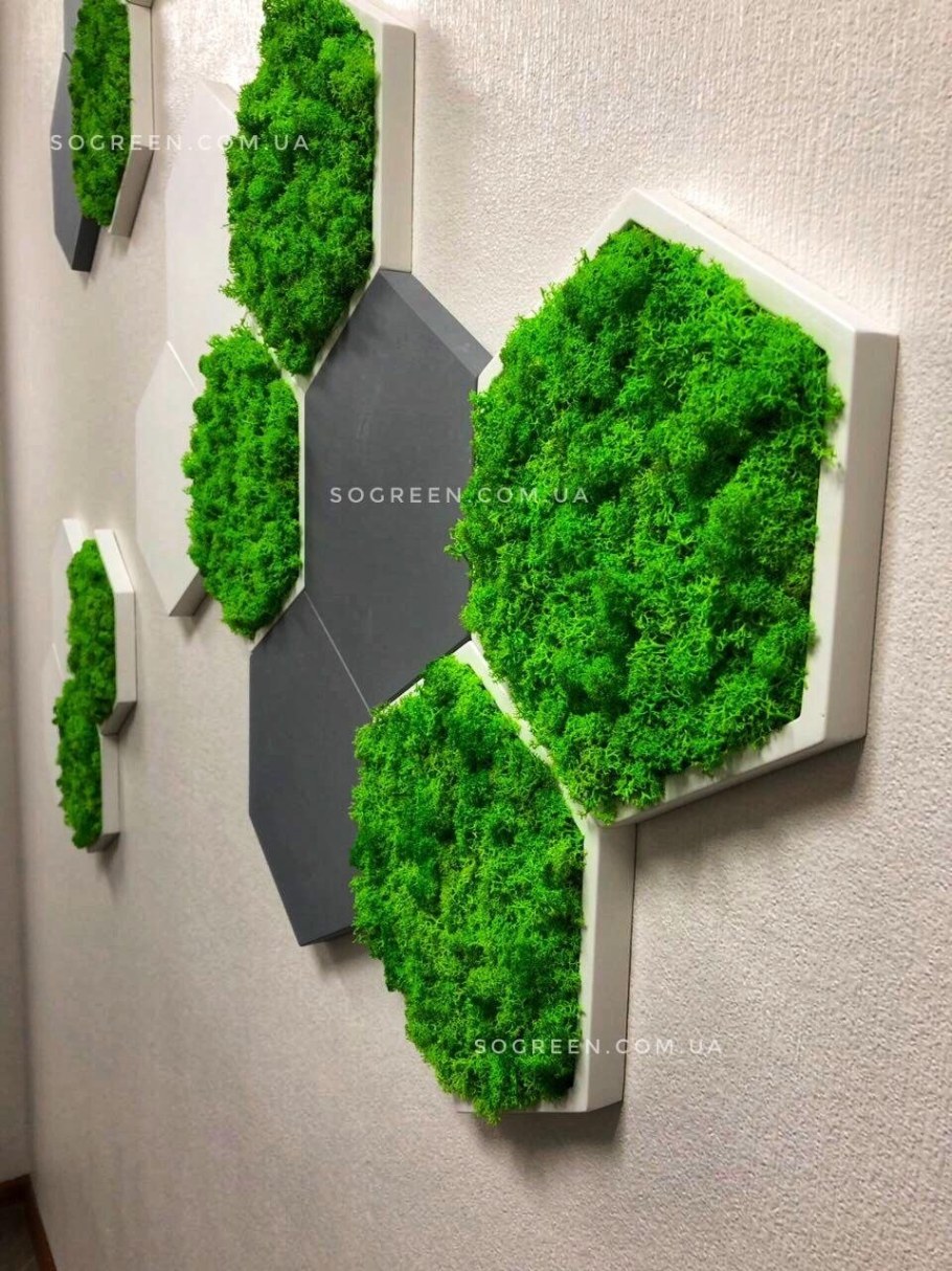 Мох в интерьере