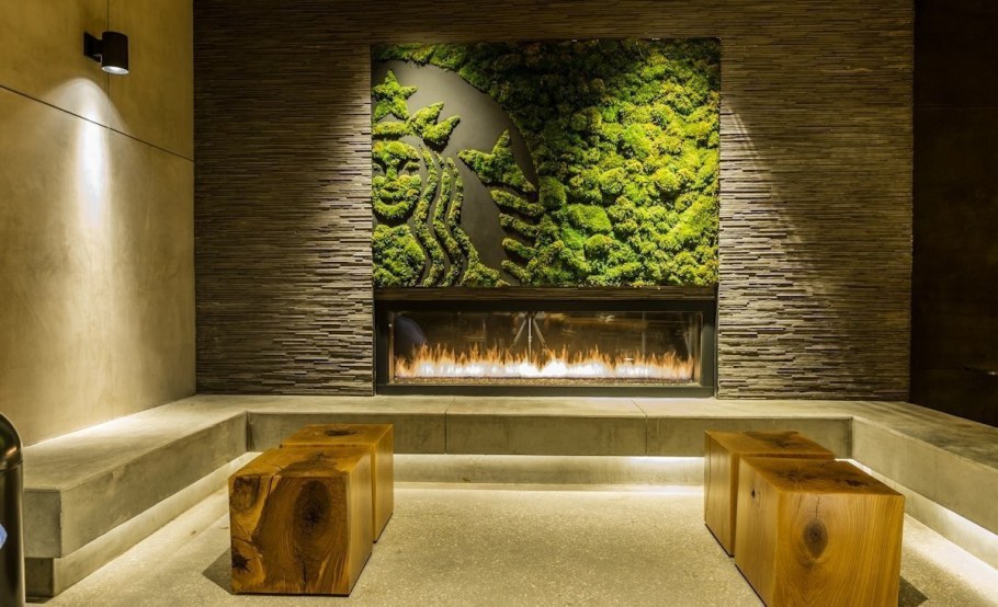 Фитостены стабилизированного мха