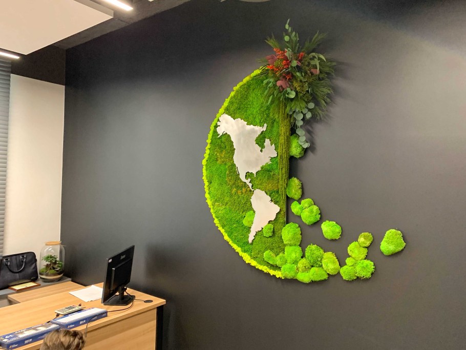 Мох ягель стабилизированный в интерьере