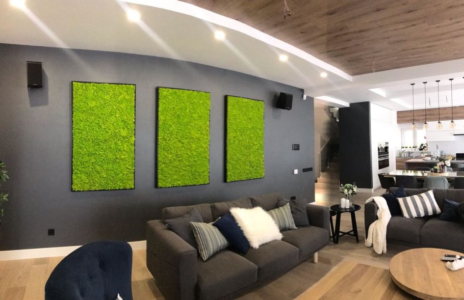 Мох в интерьере