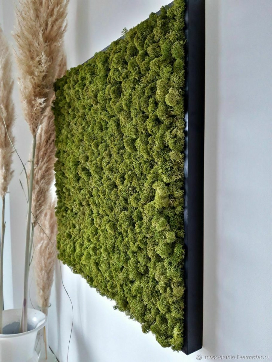 Мох в интерьере