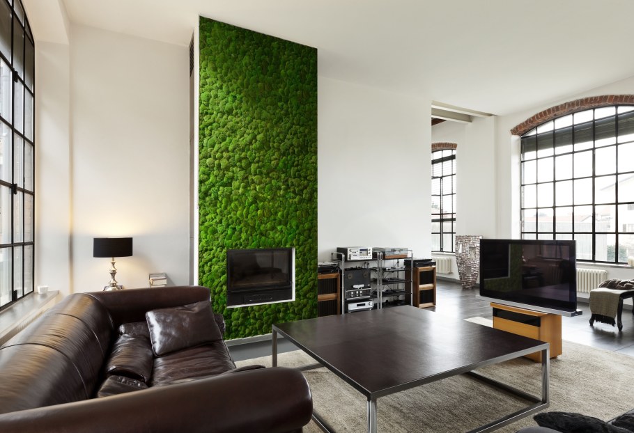 Мох в интерьере гостиной