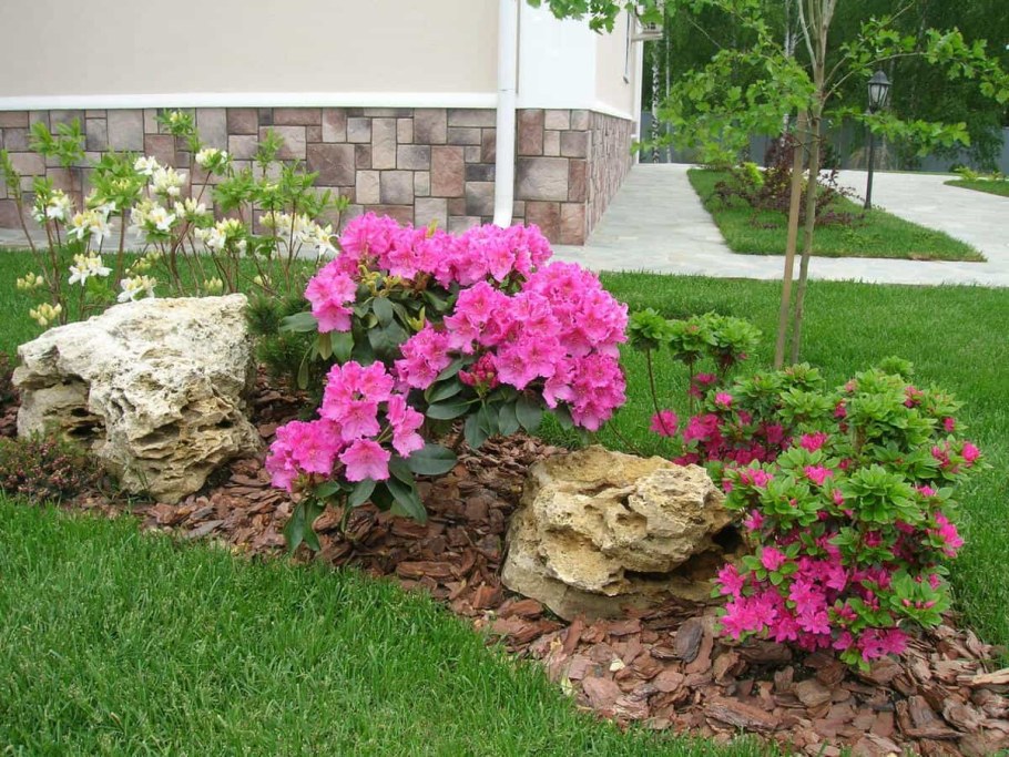 Рокарий с рододендронами