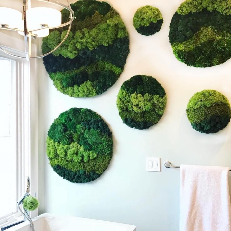 Moss Space стабилизированный мох