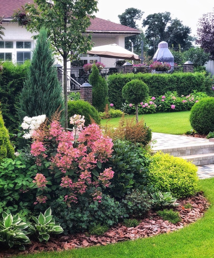 Рододендрон с хвойниками в ландшафтном