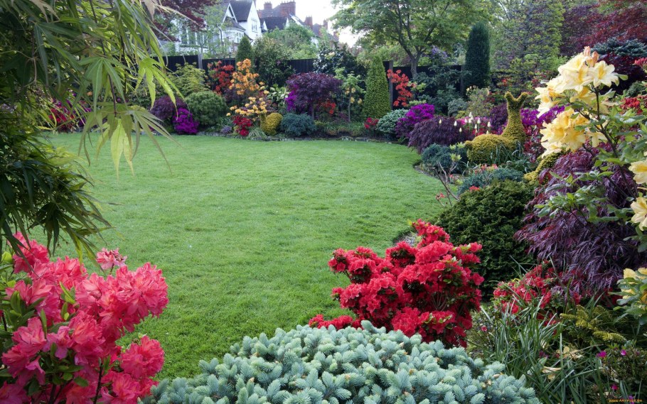 Рододендрон и гортензия