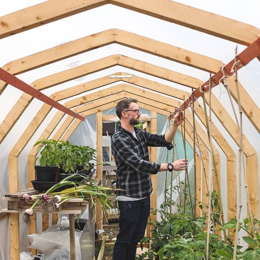 Деревянная теплица