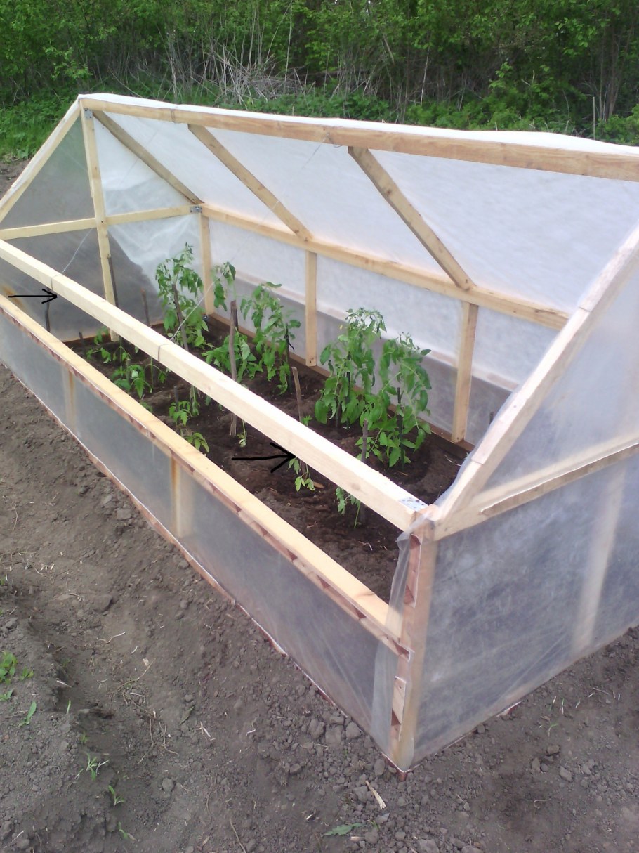 Самодельная теплица