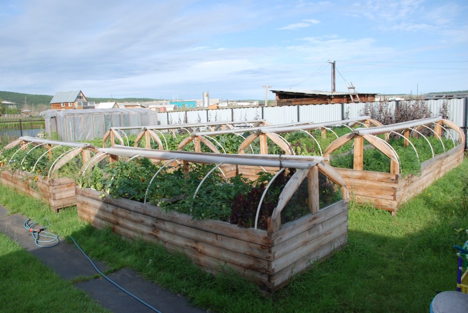 Высокие грядки с парником