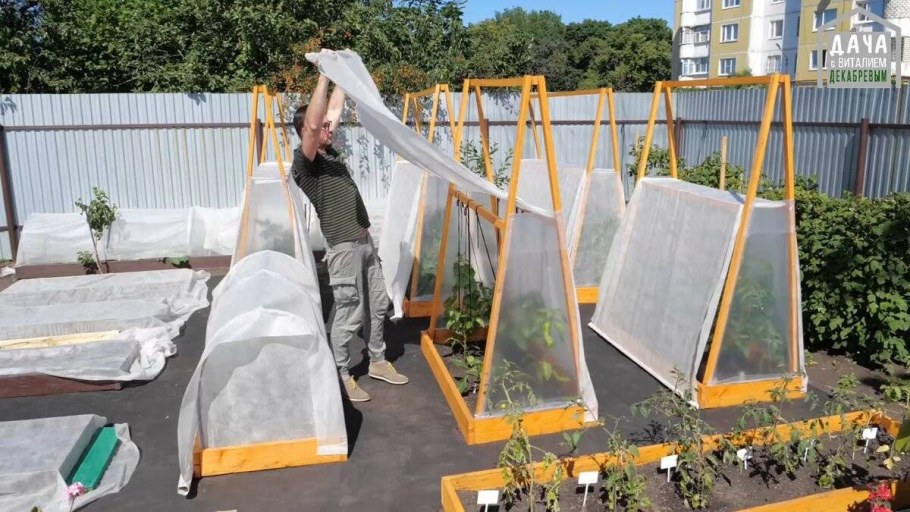 Виталий Декабрев парники