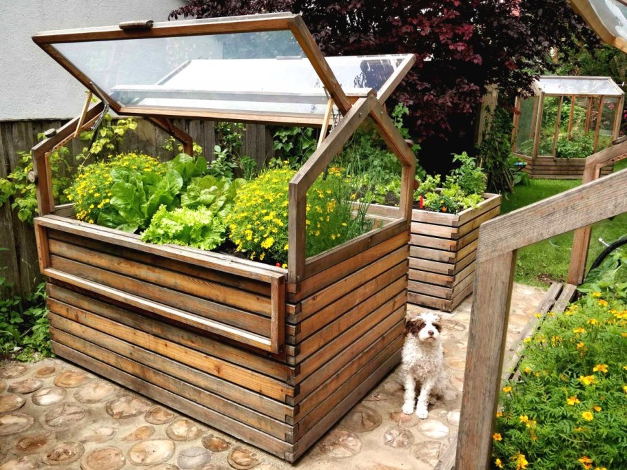 Парник в огороде