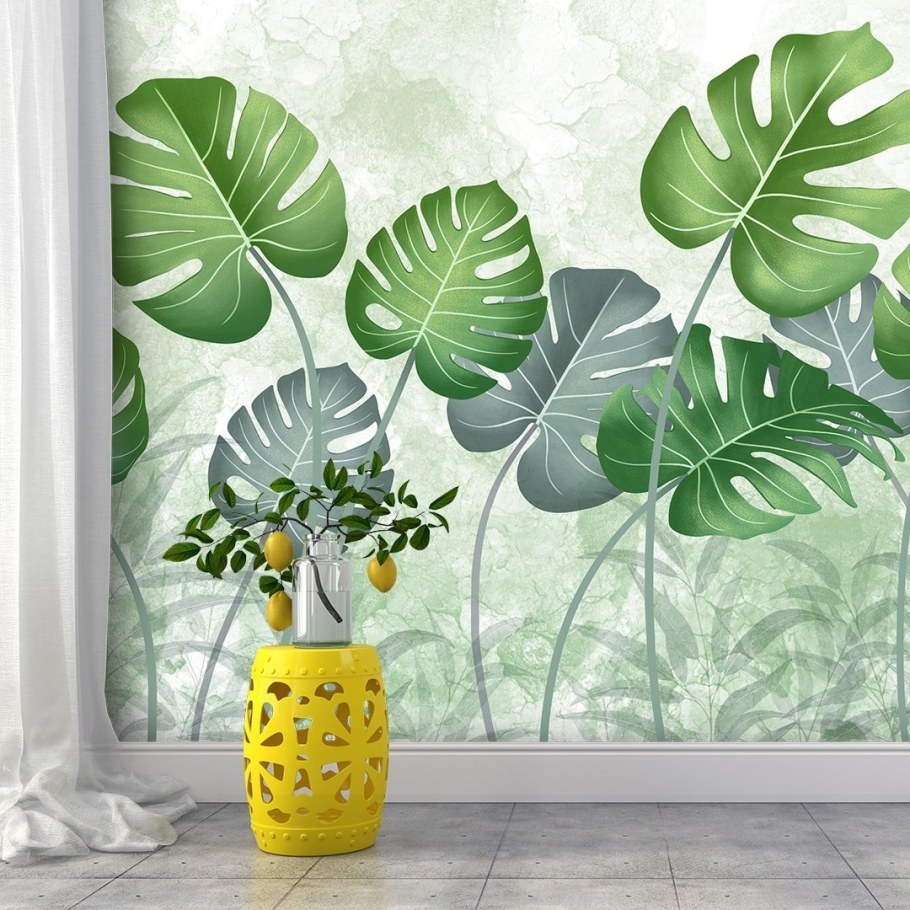 Монстера Аффреско