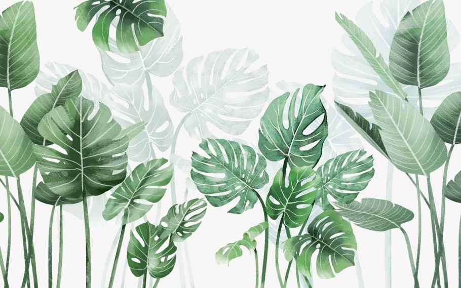 Обои монстера Евродекор