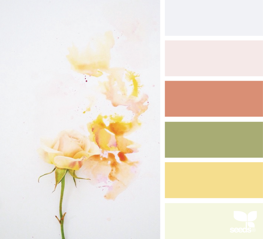 Палитра сочетания цветов