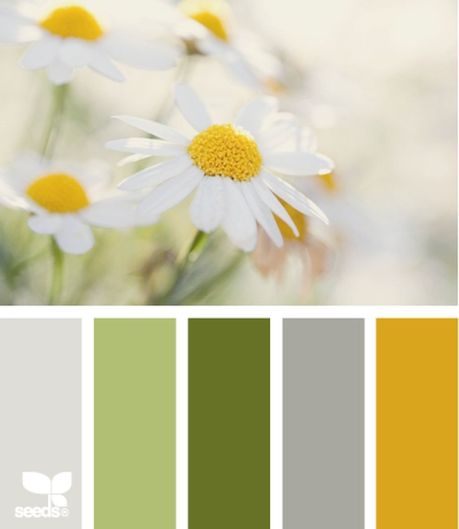 Цветовая раскладка