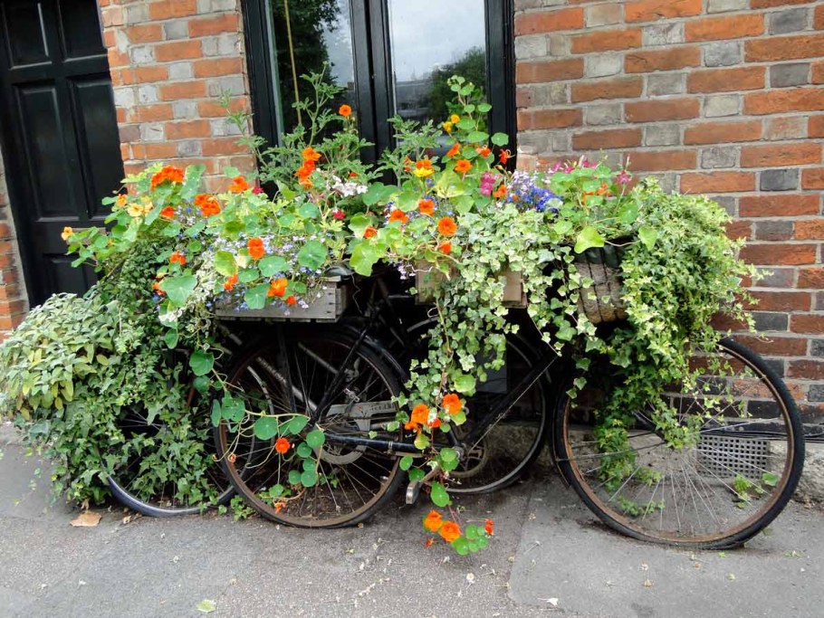 Необычные цветники