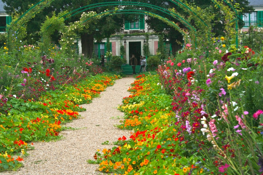 Настурция Аляска в ландшафтном дизайне