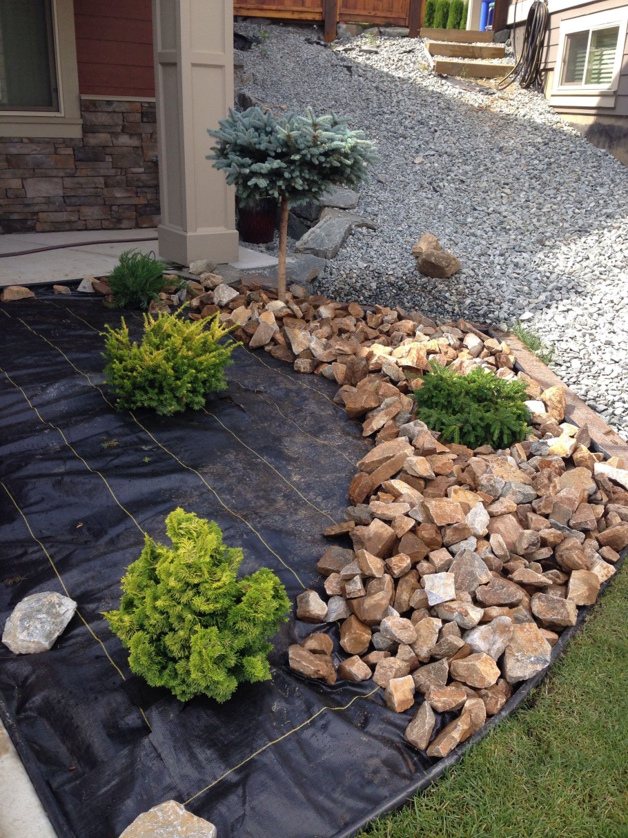 Мульчирование хвойников камнями