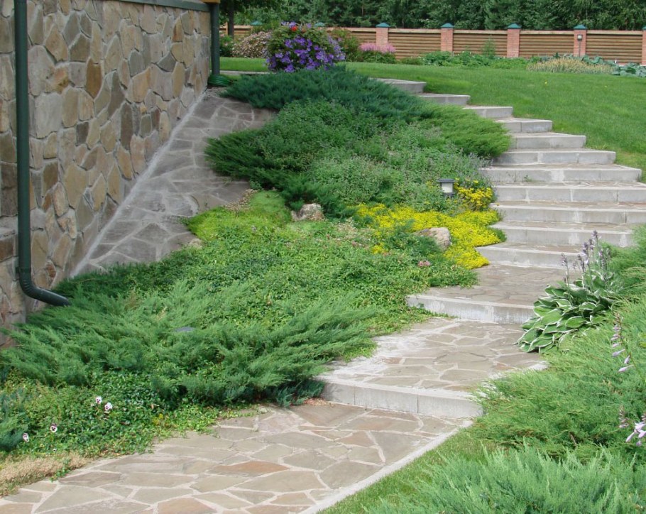 Подпорная стенка вдоль дорожки