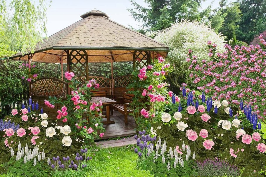 Роза Флорентина около беседки