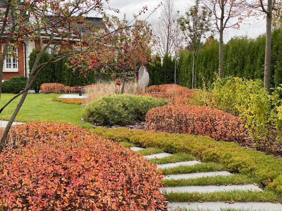 Каверино питомник растений