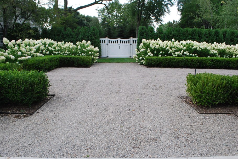 Гортензия и кизильник изгородь