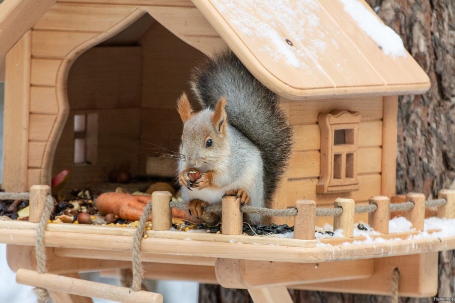 Домик для белочки