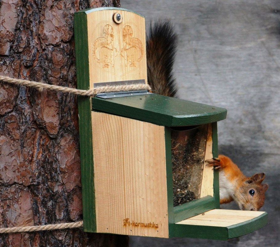 Кормушка на елке