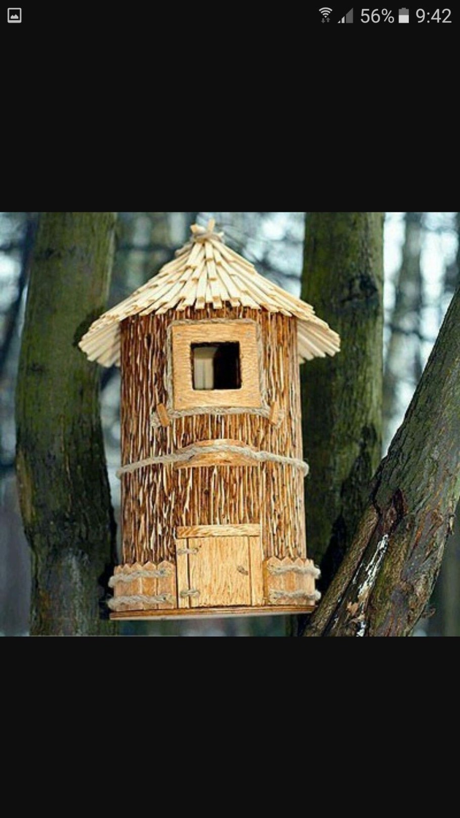 Скворечник-бельчатник "пищуха"