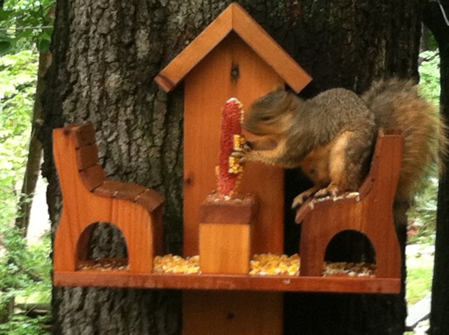 Домик для белочки