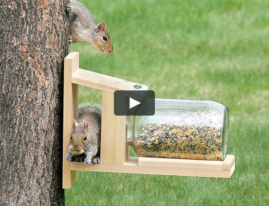 Кормушка для белок