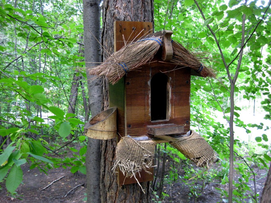 Домик для белки на даче