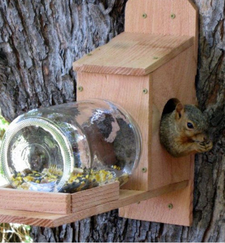 Домик для белки