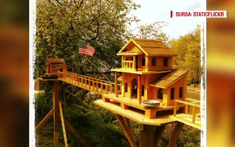 Дом с птицами