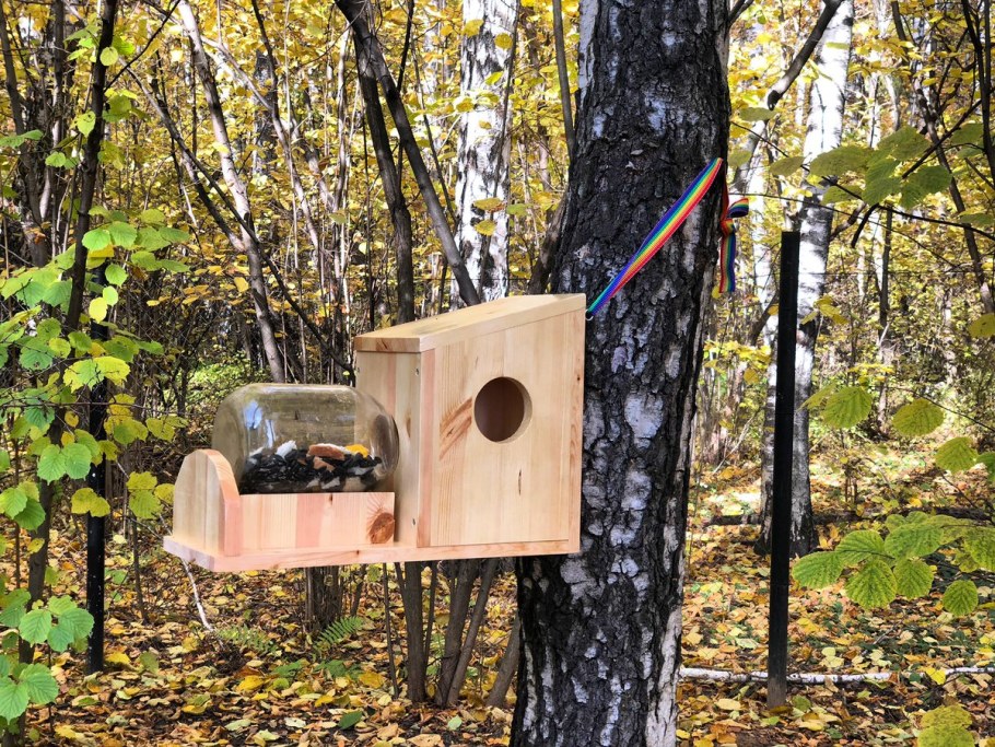 Домик кормушка для белки