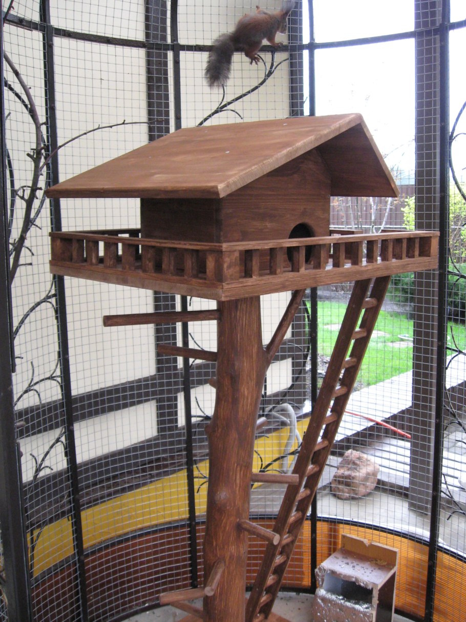 Домик для белочки